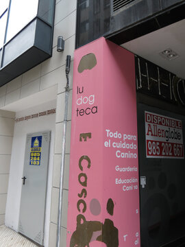 dog care business storefront