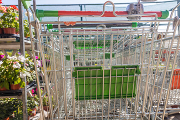 Shopping cart with green trays ready for planting © Sergei