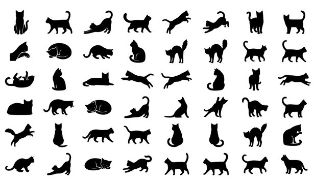 Black cat silhouette collection with cute feline poses for Halloween stickers and vector clipart