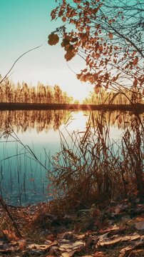 Autumn Forest woods lake . Incredible Landscape Woodland Slider Time Lapse, Time-lapse.