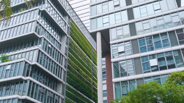 Modern office buildings with glass facades and lush vertical green wall in Shanghai city, China. Vertical garden combined with glass architecture, green city, sustainable development, future architect