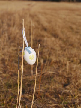 White egg with a blue ribbon hanging from a dry grass stalk