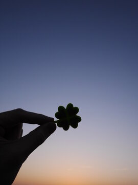 Hand holding a green shamrock in front of a blue sky