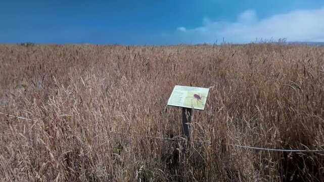 Sign informs of tick danger and prevention measures for those entering the grassy area near Fort Bragg in Mendocino County, California.