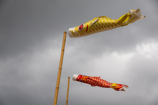 Two koinobori (carp streamers) flying against a cloudy sky. Traditional Japanese decorations for Children's Day