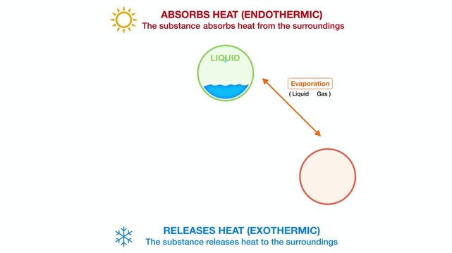 Animation of physics, Thermodynamic infographic diagram illustrating endothermic and exothermic phase change transitions between solid liquid gas states, explaining matter enthalpy dynamics