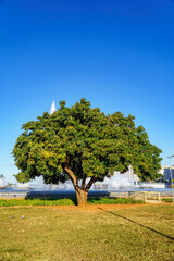 Brasilia © Danilo