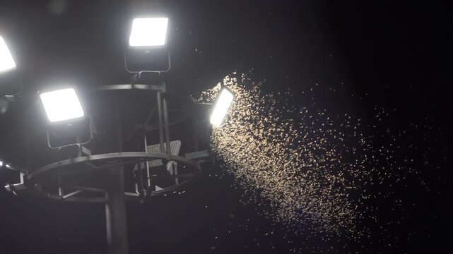A huge number of mayflies are attracted by the light of lanterns on the street. Thailand