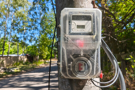 Outdoor electricity meter mounted on a tree by a quiet rural road, surrounded by lush greenery and sunlight, displays electricity readings, infrastructure and energy consumption data.