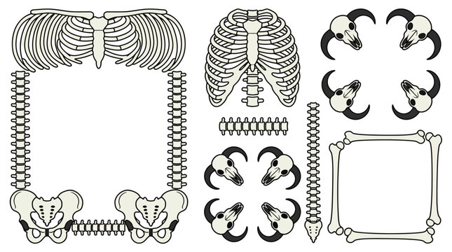 Vector skeletal bone frames and elements including rib cages, skulls, and spines for gothic designs.