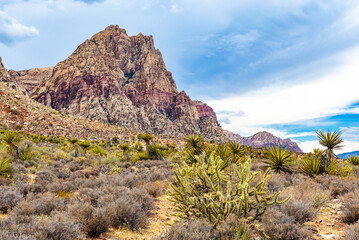 Fototapeta premium Panoramic view of Mount Wilson along Spring Mountain Ranch trail