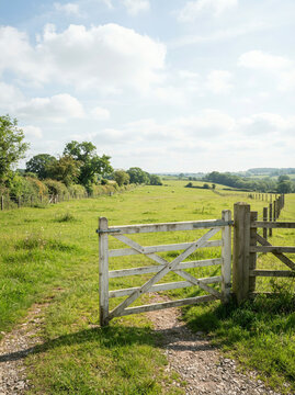 Weathered wooden gate opening onto a green field with grazing livestock