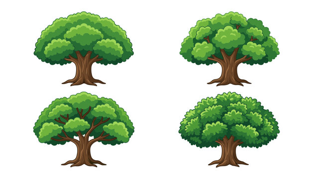 Green oak tree collection with lush leaves and strong roots vector illustration set isolated on white background for nature environment and landscape designs