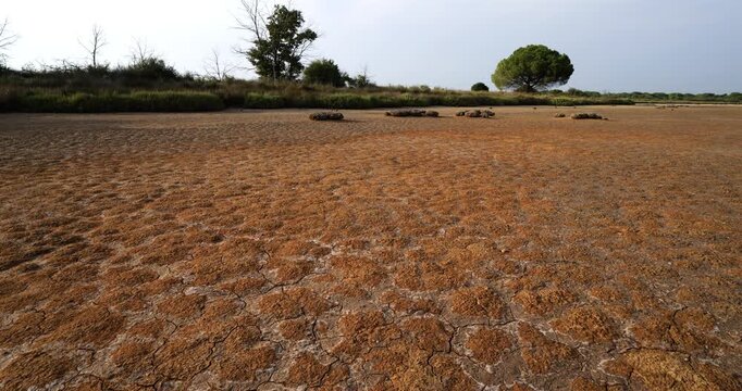 Dry and salty soil during a hot  period in the Camargue. Southern France