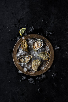 Fresh raw opened oysters on crushed ice with lemon slice