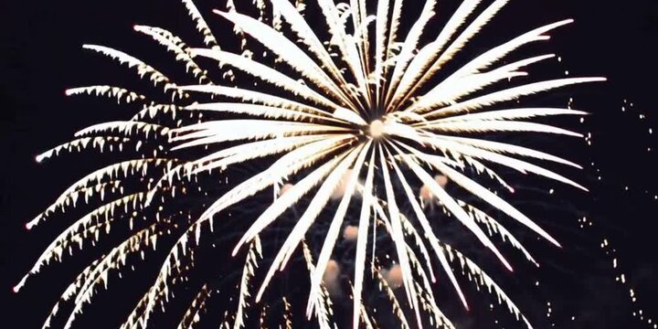 fireworks in the night sky