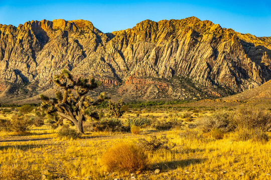First Creek Canyon panoramic trail at sunrise in Nevada