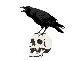 Fototapeta premium Gothic Raven Perched on Human Skull Vector Illustration