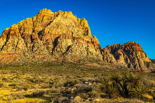 Morning view of sandstone formations along First Creek Trail