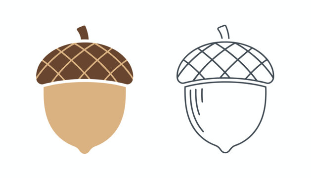 Two stylized acorn illustrations side by side show one in flat color design and one in simple outlined contour vector format.