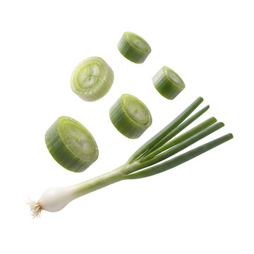 Whole scallion with flying sliced green onion pieces