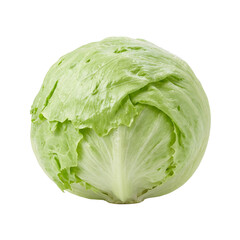 Fototapeta premium Fresh crisp iceberg lettuce head on transparent background