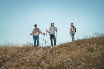 Fototapeta premium Group of friends hiking mountain trail with trekking poles