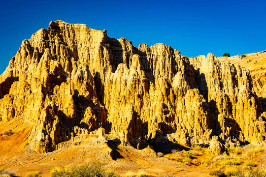 Golden sunlight on clay pinnacles at Juniper Draw
