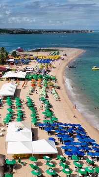 Gunga Beach In Maceio Alagoas Brazil. Breathtaking Aerial View Of A Lush Tropical Coastline Scenery. Bay Water Landscape. Landmark Coast. Maceio Alagoas.