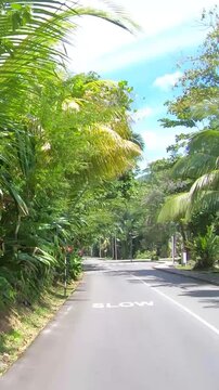 Vertical POV driving through Seychelles with tropical vegetation, scenic roads and lush island landscapes creating an immersive travel experience.
