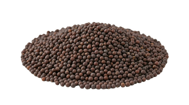 Macro Photo Of Dark Mustard Seeds Heap Isolated On Solid White Background