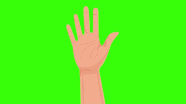Fluid Bending Human Hand Greeting Animation Green Screen Loop