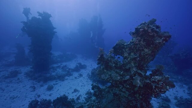 Coral towers dispersed around main reef.