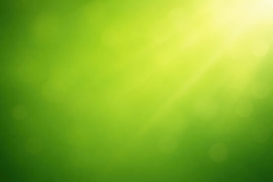 Abstract Green Nature Background with Soft Light and Bokeh