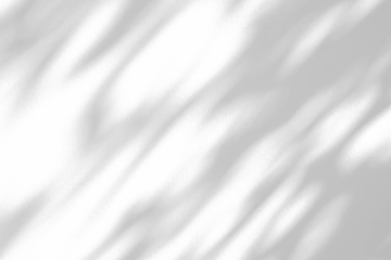 Fototapete Sportgeschäft Abstract natural tree branch leaves shadow on white wall background  © Kwangmoozaa