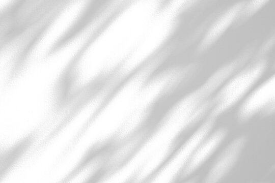 Abstract natural tree branch leaves shadow on white wall background