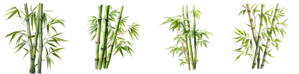 Obraz premium Arrangement of vibrant green bamboo stalks and leaves against a stark black background