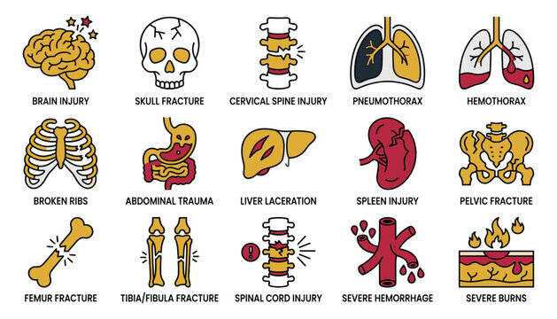Set of medical trauma icons, including brain injury, bone fractures, organ damage, and severe burns