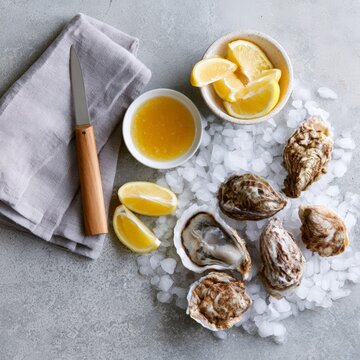 Top view oyster arrangement with shucking knife lemon and sauce on ice for serving and food styling background