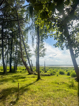 View of the lush green forest and trees bordering the scenic Lake Engure on a bright sunny day in Engure, Tukums Municipality, Latvia.