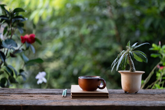 Wooden cup and spoon with Dorstenia plant and diary notebook arranged o wooden table