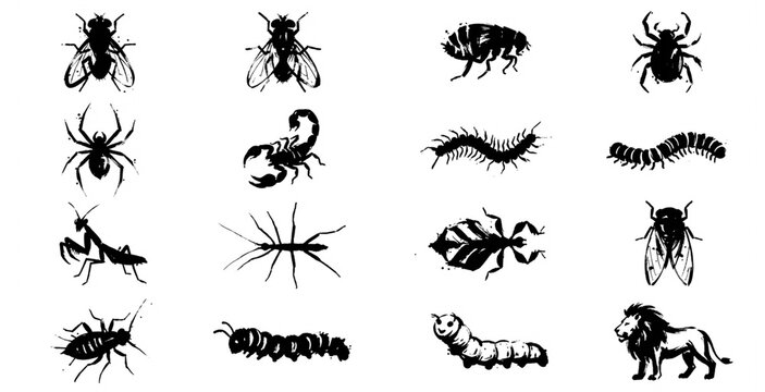 Insects and animals ink collection set including scorpion spider lion and caterpillar for graphics.