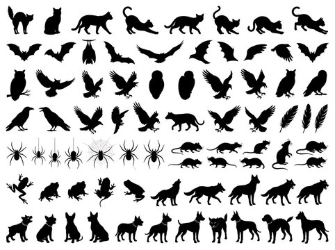 Collection of black animal silhouettes including cats dogs birds spiders and mice on a white background