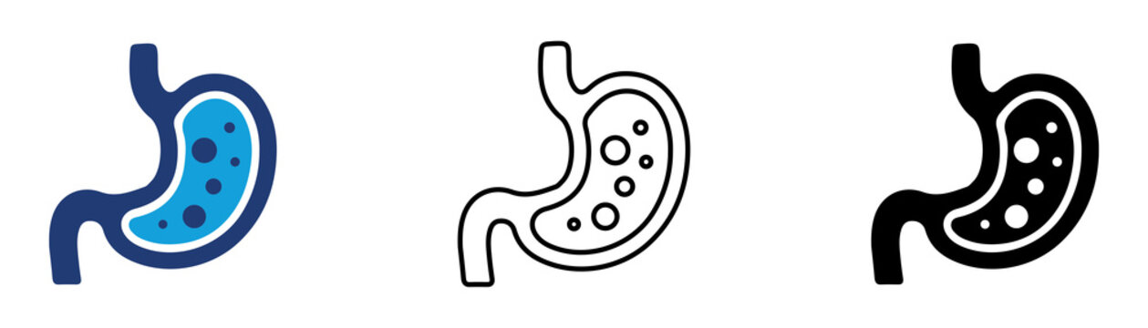 Multicolor Stomach Icon Set with Filled and Outline Styles for Digestive System Gastroenterology Human Anatomy Medical Healthcare and Organ Health Isolated on Transparent Background