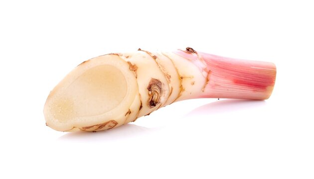 Fresh cut onion slices on white background.
