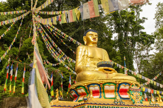 View of the golden Buddha statue adorned with colorful prayer flags in a lush forest setting in Pokhara, Gandaki Province, Nepal.