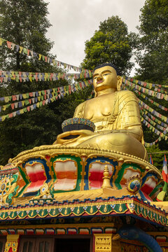 View of a golden Buddha statue adorned with colorful prayer flags and surrounded by lush green trees in Pokhara, Gandaki Province, Nepal.