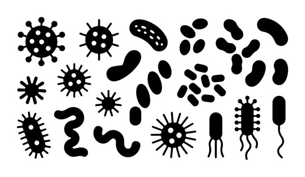 Set of black bacteria and virus icons isolated on transparent background for biological research and design.