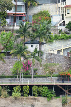Multi-layered resort buildings and villas built on a steep rocky hillside terrace with lush tropical palm trees in Rishikesh.
