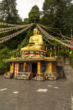 View of a golden Buddha statue seated on a decorated shrine adorned with colorful prayer flags in a lush forest setting in Pokhara, Gandaki Province, Nepal.